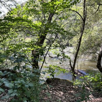 Yosemite Cedar Lodge - Still pic of River! - Hotels Near Me - El Portal, California