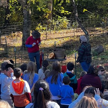 Belvedere Plantation - Pig Races - Festivals Near Me - Fredericksburg, Virginia