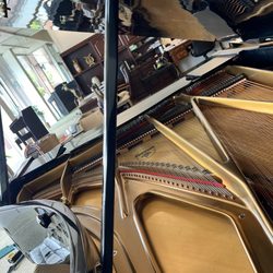 World Class Piano Gallery - Grand piano