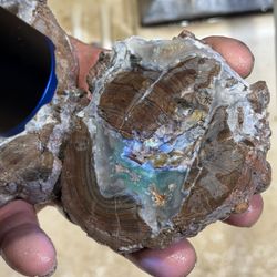 Canyon Rock Shop - Geode with black light