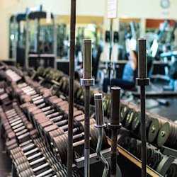 FITWORKS Mentor - Weights at FITWORKS Mentor.