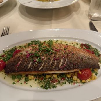 Potente - Branzino - Italian Near Me - Houston, Texas Potente - Branzino - Italian Near Me - Houston, Texas