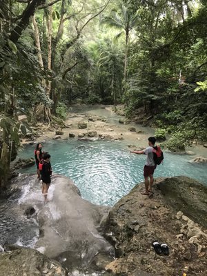 Kawasan Falls by null
