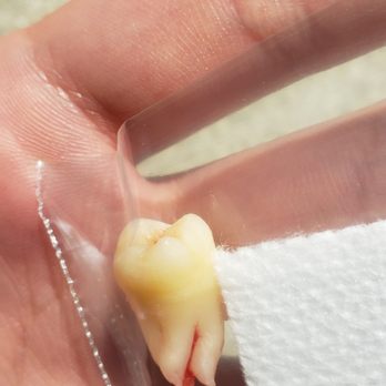 William C Vargo, DDS - General Dentistry Near Me - Salt Lake City, Utah