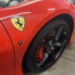Coyote Auto Detailing