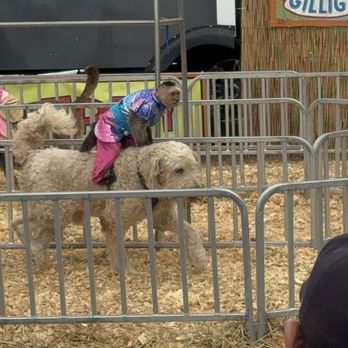 Georgia State Fair - Festivals Near Me - Hampton, Georgia