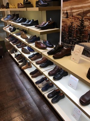 clarks shoes virginia