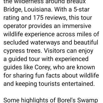 Borel’s Swamp Tours - Boat Tours Near Me - Breaux Bridge, Louisiana