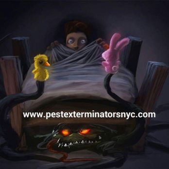 Iron Curtain Exterminators - Don't let your kids sleep with bed bugs - Pest Control Near Me - Brooklyn, New York Iron Curtain Exterminators - Don't let your kids sleep with bed bugs - Pest Control Near Me - Brooklyn, New York