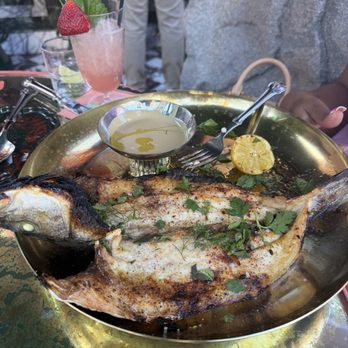Night Hawk - Fish. - Greek Near Me - Coronado, California