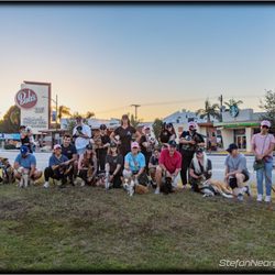 Good Dog K9 Training and Services