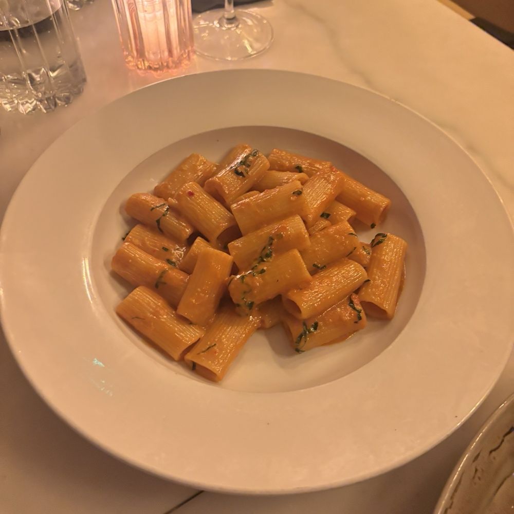 Elia - Spicy rigatoni - Italian Near Me - Miami, Florida Elia - Spicy rigatoni - Italian Near Me - Miami, Florida