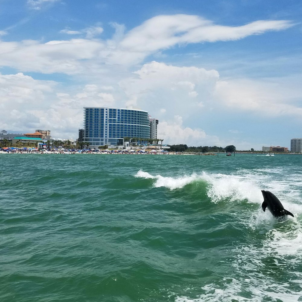 Sandbar - Opal Sands - Dolphins! - Resorts Near Me - Clearwater Beach, Florida
