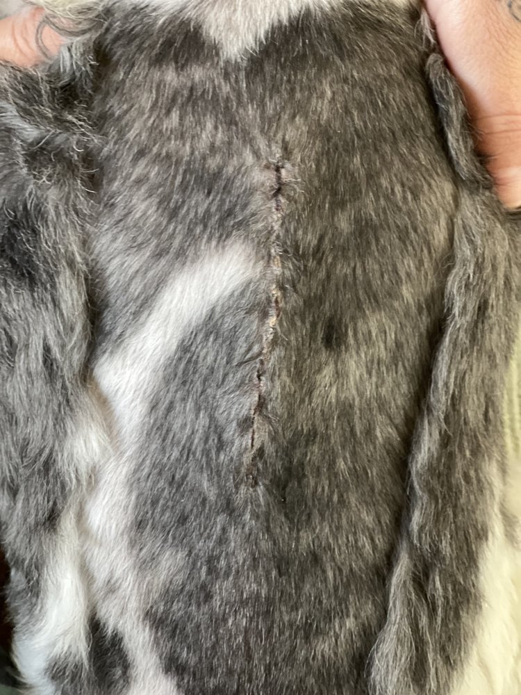 J & M PET LAND Updated August 2024 12 Photos & 19 Reviews 1450