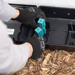 ProActive Pest Management