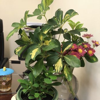 Anthony Jung, MD - Endocrinologists Near Me - Flushing, New York Anthony Jung, MD - Endocrinologists Near Me - Flushing, New York
