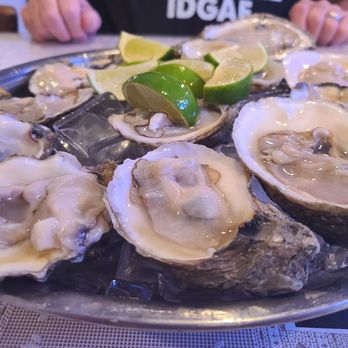 Mi Lindo Michoacan - Fresh large oysters - Mexican Near Me - Austin, Texas