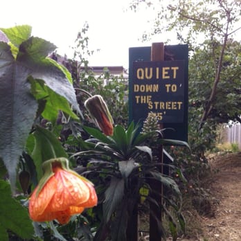 Mount Sutro - Remember to be quiet on the way down - Parks Near Me - San Francisco, California