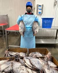 Congressional Seafood - Wholesale Seafood Supplier by null