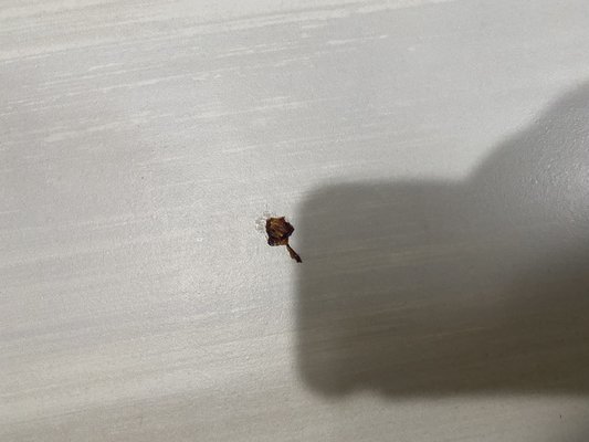 Quality Inn & Suites Gilroy by null