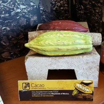 Ah Cacao Chocolate Café - Cacao bean - Desserts Near Me - Cancún, ROO Ah Cacao Chocolate Café - Cacao bean - Desserts Near Me - Cancún, ROO