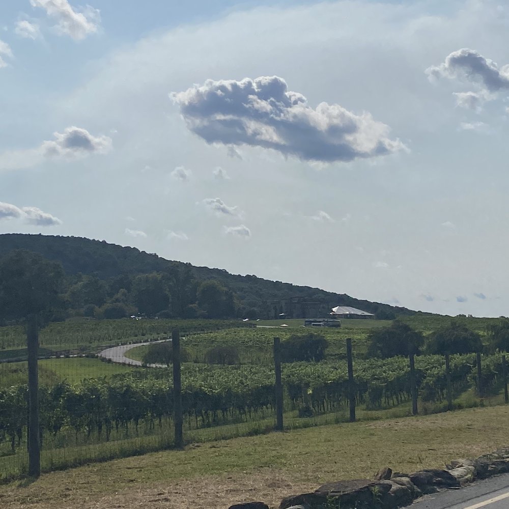 Raffaldini Winery - Wineries Near Me - Ronda, North Carolina Raffaldini Winery - Wineries Near Me - Ronda, North Carolina