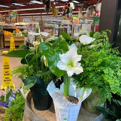 Roth's Fresh Markets - McMinnville - Plants