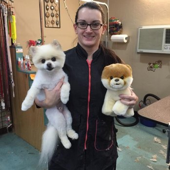 Dawns Barking Lot - Pet Sitting Near Me - Edmond, Oklahoma