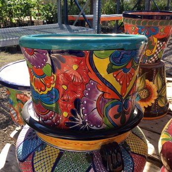 Whitfill Nursery - Talavera pot - Nurseries & Gardening Near Me - Gilbert, Arizona Whitfill Nursery - Talavera pot - Nurseries & Gardening Near Me - Gilbert, Arizona