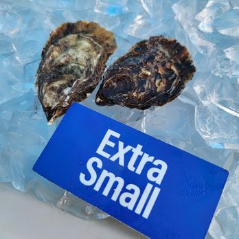 Tomales Bay Oyster Company - Extra small oysters - Seafood Markets Near Me - Marshall, California Tomales Bay Oyster Company - Extra small oysters - Seafood Markets Near Me - Marshall, California