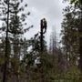 Photo of Jason's Family Tree Service