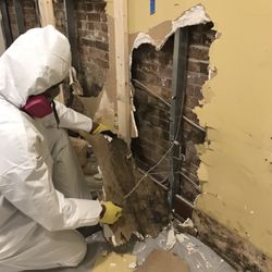 Puritan Restoration