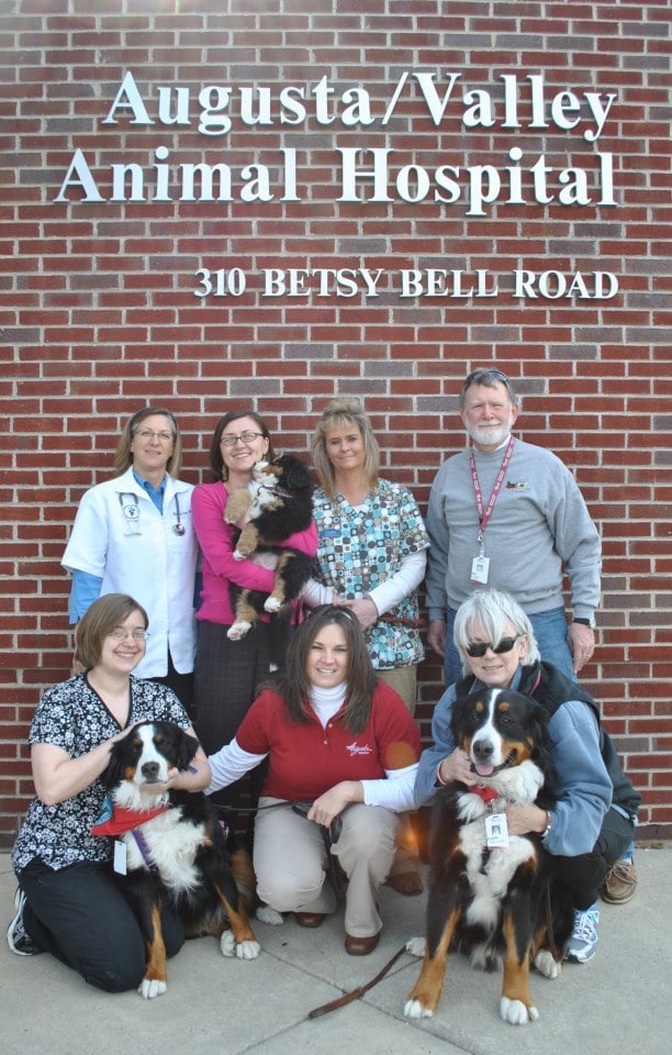AUGUSTA VALLEY ANIMAL HOSPITAL Updated September 2024 15 Photos