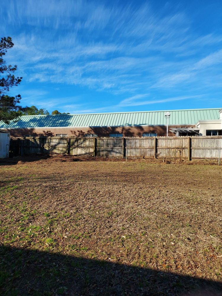 BEAVER TREE SERVICE Updated October 2024 61 Photos 135 Tom Morris