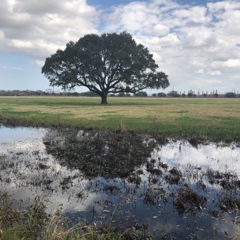 Chalmette Battlefield - Parks Near Me - Chalmette, Louisiana