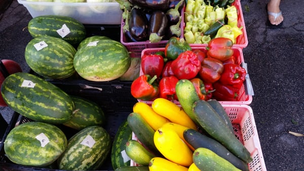 Midtown Farmers Market by null