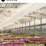 Photo of LUXURY FOG
