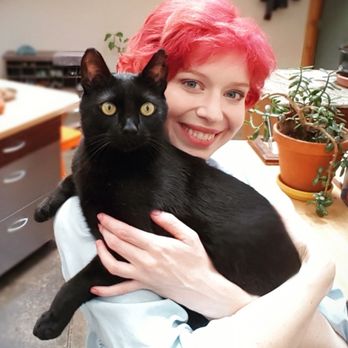 Flower City Cat Sitting - Pet Sitting Near Me Flower City Cat Sitting - Pet Sitting Near Me