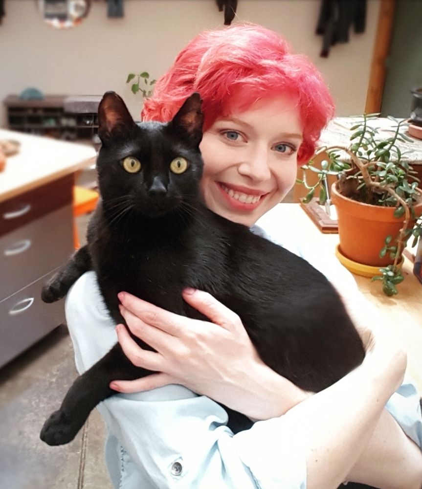 Flower City Cat Sitting - pet boarding facility in Rochester, NY
