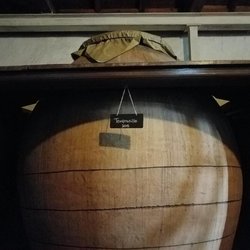 Solera Bodegas - Tempranillo magnificence