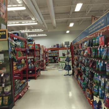 Petco - Avon Petco -- 20 Stockwell Drive, Avon            Interior - Pet Training Near Me - Avon, Massachusetts