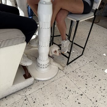 Esperanza Cocina de la Playa - Doggo! - Seafood Near Me - Manhattan Beach, California