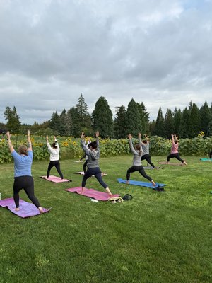 Lee Family Farms by null