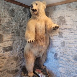 Pineview Coffee Company - Bear and Fish