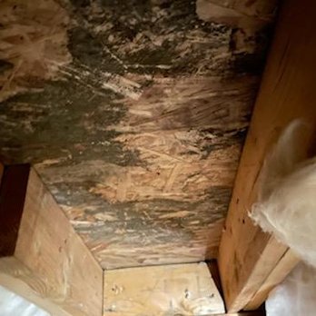HT Constructions - molding underneath our bathroom floor due to water damage. - General Contractors Near Me
