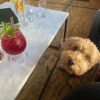 Fogbird - Cocktail Bars Near Me - San Mateo, California