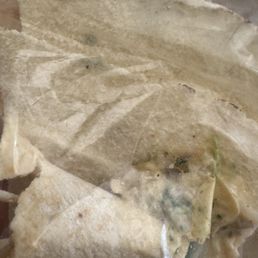 MOLDY BREAD