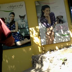 Philippine Animal Welfare Society