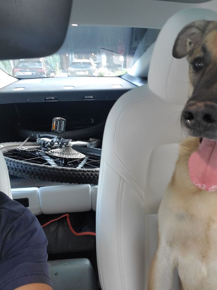 El (deity) visual data 7