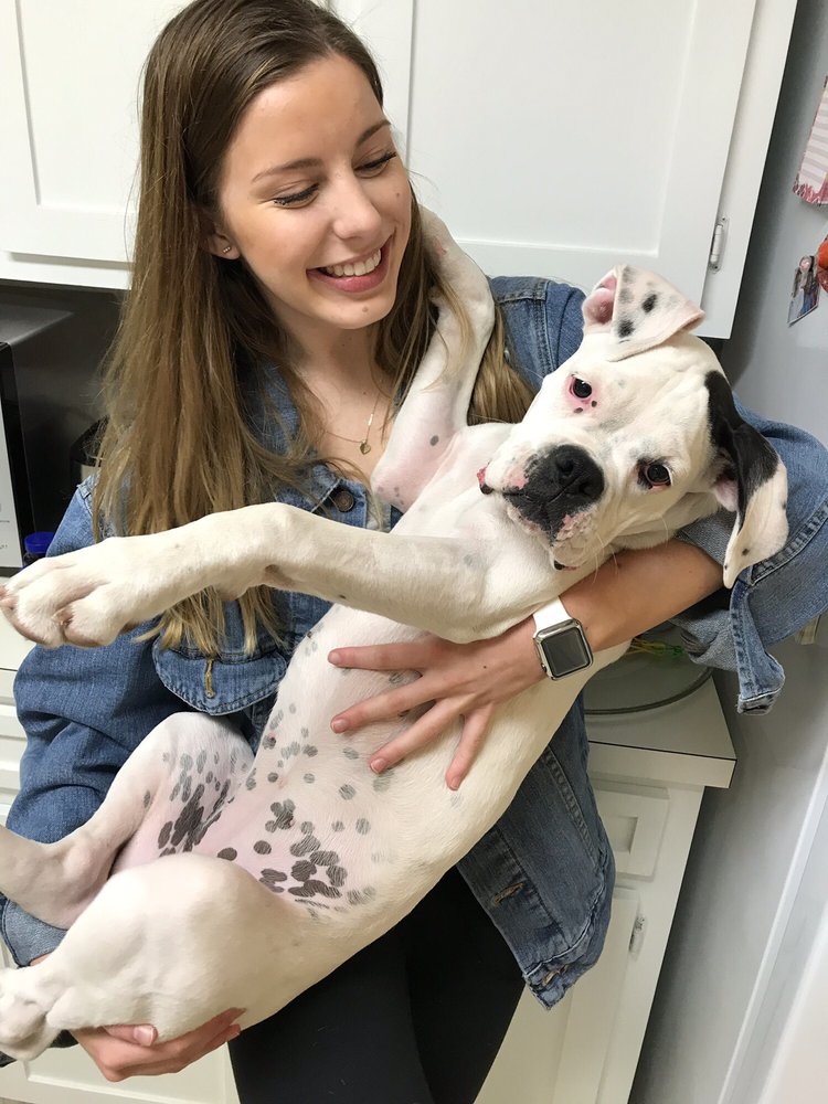 WINDSOR PARK ANIMAL HOSPITAL Updated August 2024 15 Reviews 4322